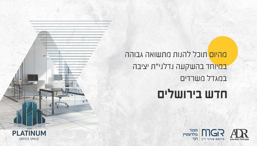 12458-1-b-מצגת-משקיעים_Page_05