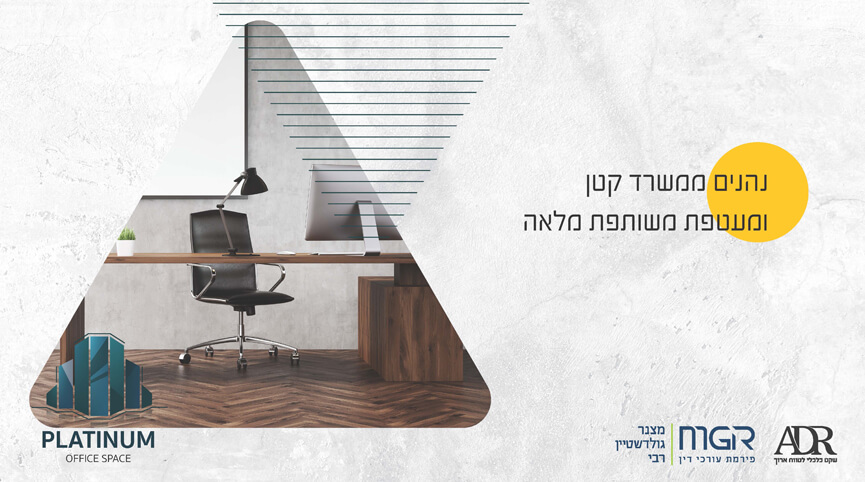 12458-1-b-מצגת-משקיעים_Page_07