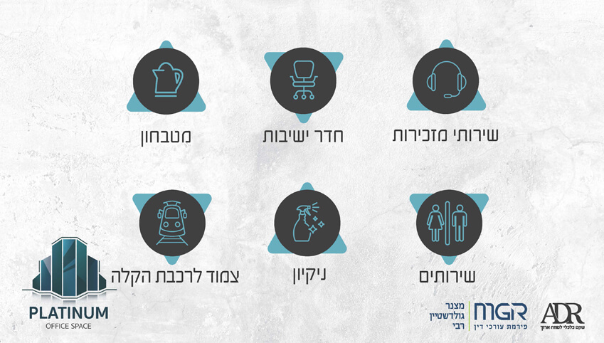 12458-1-b-מצגת-משקיעים_Page_13