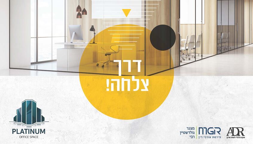 12458-1-b-מצגת-משקיעים_Page_17